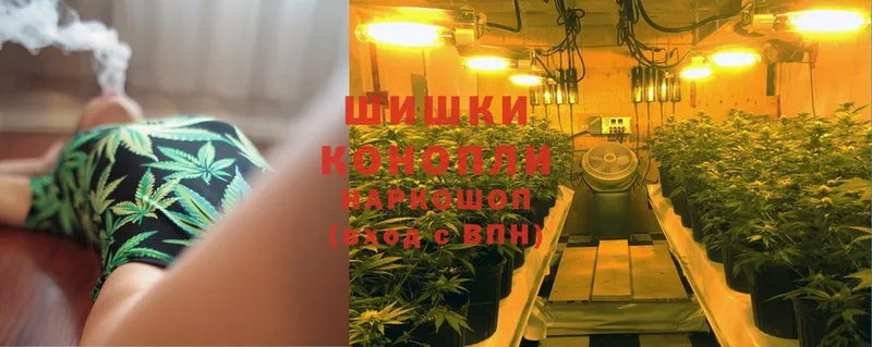 Марихуана SATIVA & INDICA  где можно купить   Великий Устюг 